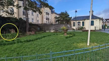 Photo of free Wooden Chair (Needs TLC) (PL4 Greenbank.) #2