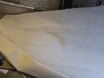 Photo of free Carpet beige (Swallownest S26) #1