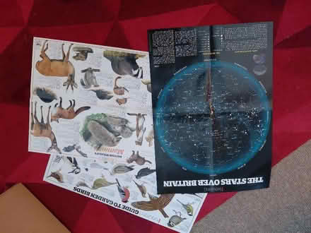 Photo of free Posters (Brantham CO11) #1