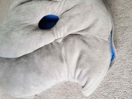 Photo of free Ostrich for comfortable napping (Kendal LA9) #2