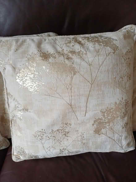 Photo of free 6 cream and gold custions (Marldon TQ3) #2