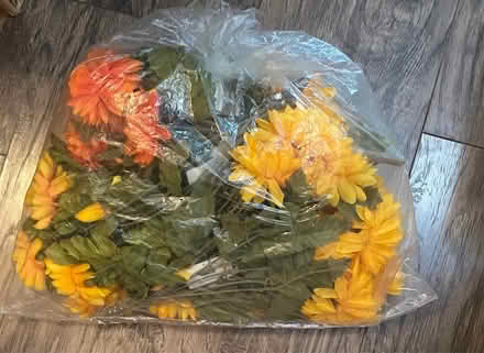 Photo of free Artificial flowers (M2N 7L7) #2