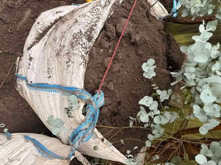 Photo of free Soil (WA14) #2