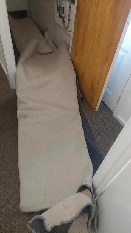Photo of free Rug (Bannockburn FK7) #1
