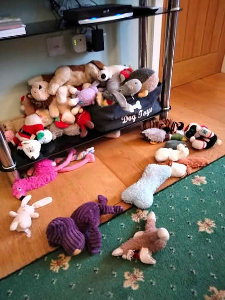 Photo of free Soft toys (Binegar, near church.) #1