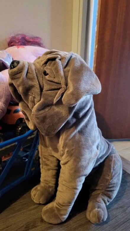 Photo of free Harry Potter plush (Dursley) #1