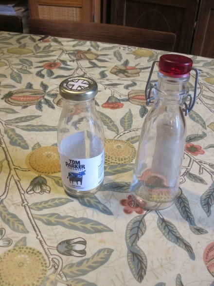 Photo of free 250ml Bottles (North Sheen TW9) #1