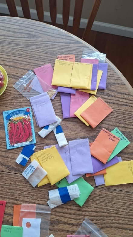 Photo of free Vegetable Garden seeds (Near tunxis College) #2