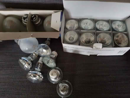 Photo of free Lightbulbs (Kendal LA9) #2