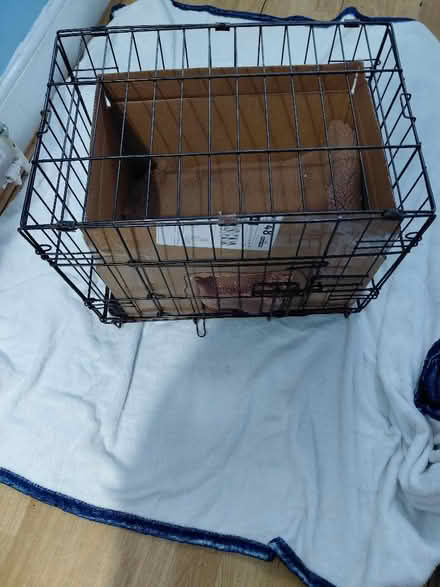 Photo of free Dog / Cat Crate / Cage (Ilford IG1) #2