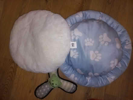 Photo of free Two small dog/cat beds (EH16, the inch) #1