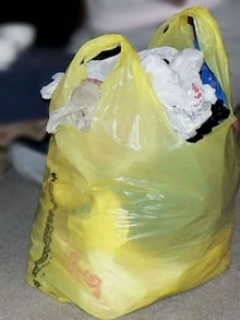 Photo of Plastic Grocery Bags (Maplewood) #1