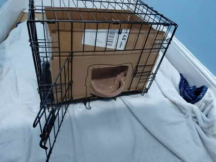 Photo of free Dog / Cat Crate / Cage (Ilford IG1) #1