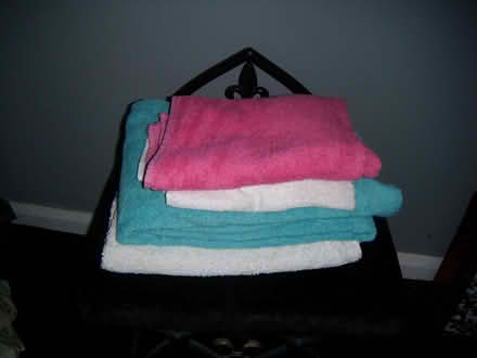 Photo of free Towels for the dog (Fearnhead WA2) #1