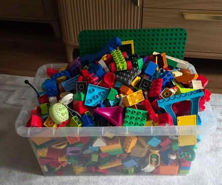 Photo of free Duplo bricks (Horsham) #1