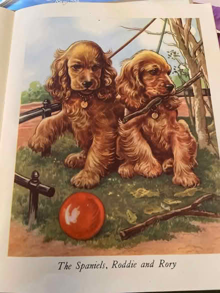 Photo of free Calling all Puppies book (Battenhall WR5) #3