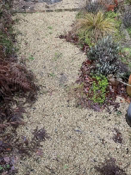Photo of free garden gravel (Bracknell RG12) #3
