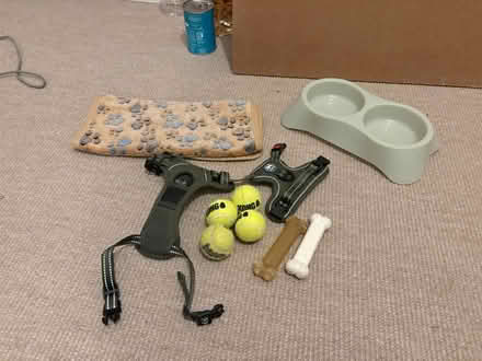 Photo of free Dog equipment (E9) #1
