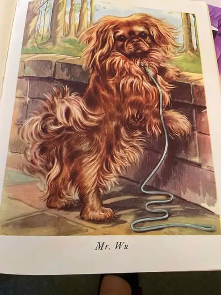 Photo of free Calling all Puppies book (Battenhall WR5) #2