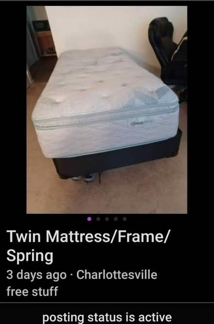 Photo of free WOO HOO! Almost new twin bed (Hollymead) #1