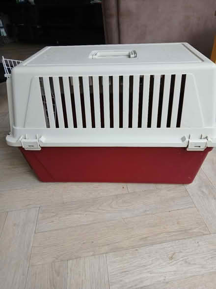 Photo of free Large cat/small dog box (Worcester park, surrey KT4) #1