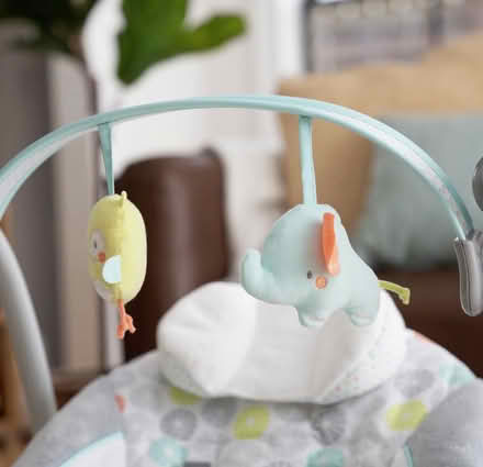 Photo of free Ingenuity Hugs & Hoot Baby Swing (Hemel Hempstead HP2) #4