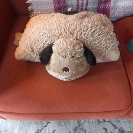 Photo of free Pillow pet (Wyke, BD12) #1