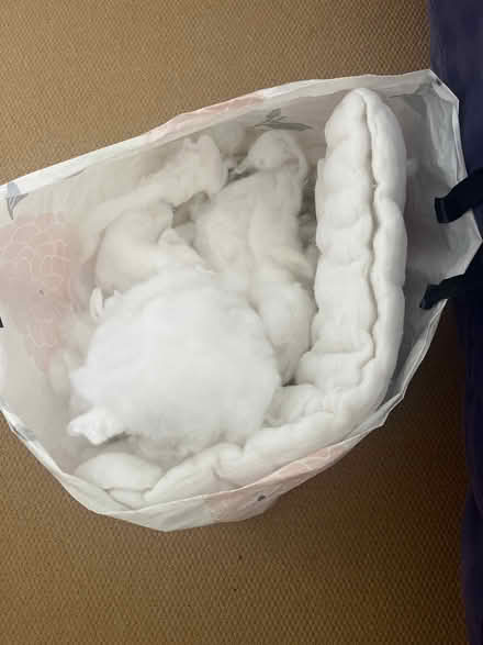 Photo of free Stuffing from old pillow/cushions (Colehill BH21) #1