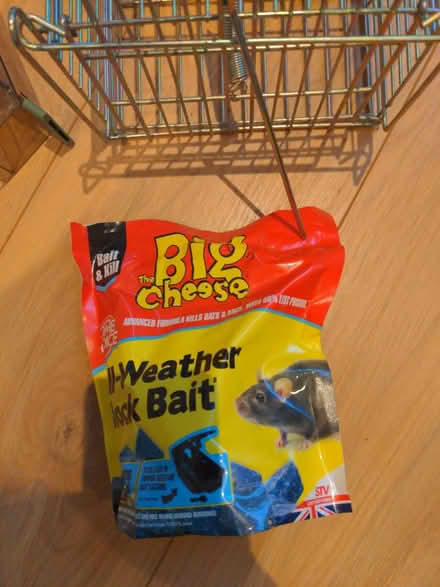 Photo of free Mouse traps and bait (Stannington S6) #2
