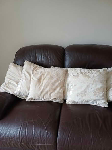 Photo of free 6 cream and gold custions (Marldon TQ3) #1