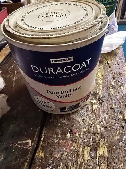 Photo of free White emulsion paint (Horspath OX33) #1
