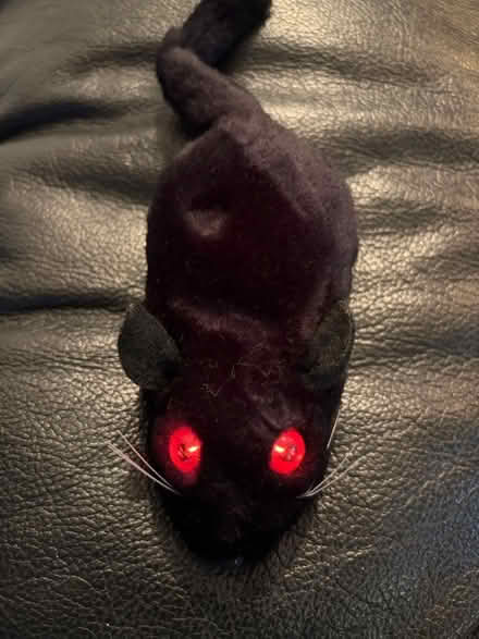 Photo of free Toy Rat (Westbury Wilts BA13) #1