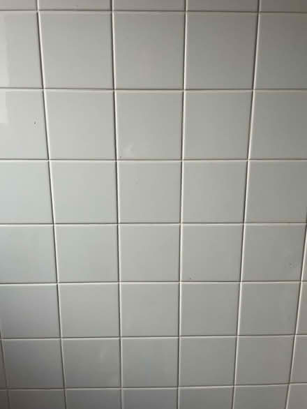 Photo of free 25 ceramic wall tiles (Queens Park CH3) #4