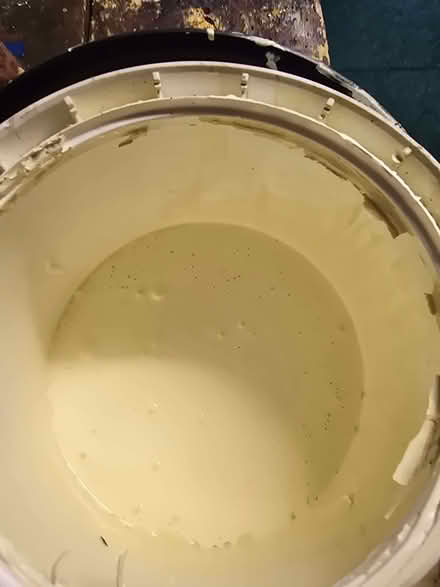 Photo of free Ivory cream emulsion paint (Horspath OX33) #2