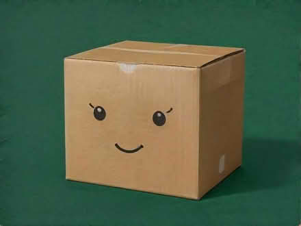 Photo of Strong cardboard box (Hampden Park BN22) #1