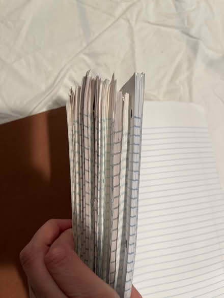 Photo of free Loose leaf lined paper (Farmington Hills) #2