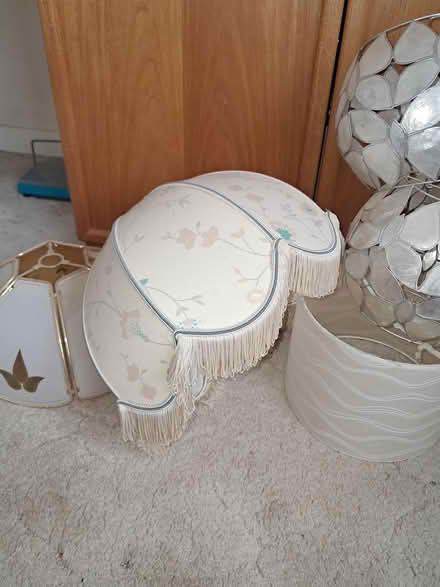 Photo of free Selection of Lampshades (CT1) #1