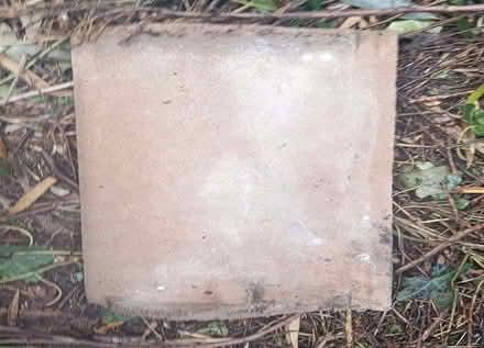 Photo of free roof tiles (Ferndown BH22) #4