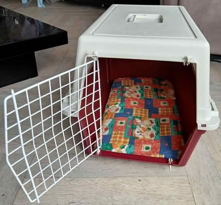 Photo of free Large cat/small dog box (Worcester park, surrey KT4) #3