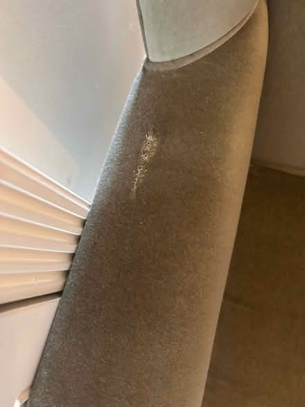 Photo of free Green winged arm chair (Earlsfield SW18) #2