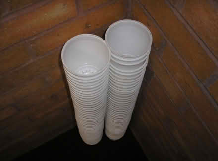 Photo of free Yoghurt pots for plant growing (Chapeltown LS7) #2