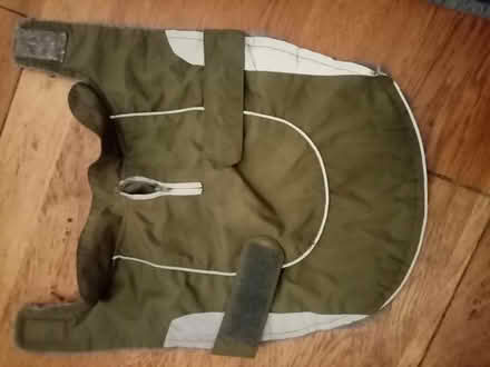 Photo of free Dog raincoat size S (Pimlico, SW1) #1