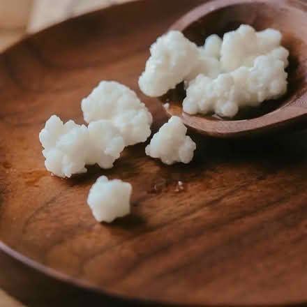 Photo of Kefir Grains (Coulsdon (CR5)) #1