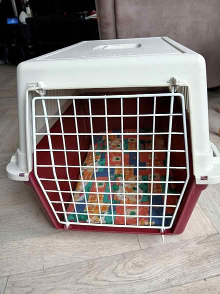 Photo of free Large cat/small dog box (Worcester park, surrey KT4) #2