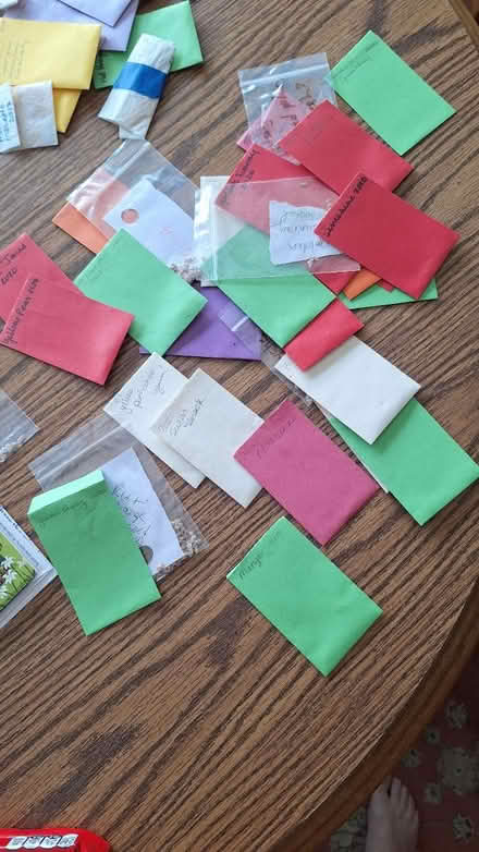 Photo of free Vegetable Garden seeds (Near tunxis College) #1