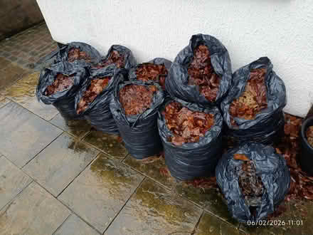 Photo of free Nags of leaves (WV4 parkfields) #1