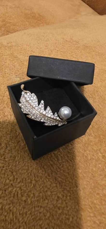 Photo of free Brooch (Wood Green N22) #1