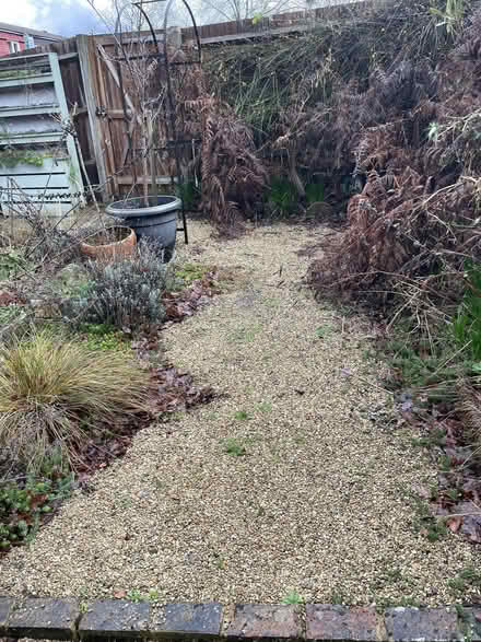 Photo of free garden gravel (Birch Hill RG12) #1