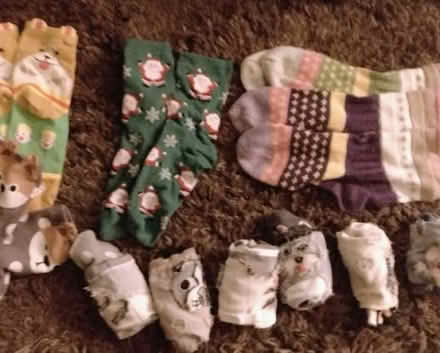 Photo of free Socks ("new") (Corby NN18) #1