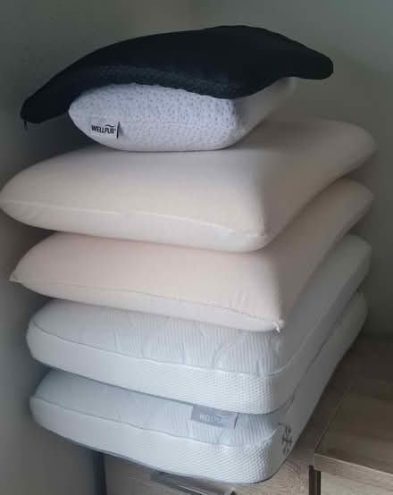 Photo of free Pillows (Ecclesfield / Sheffield S5) #1